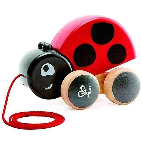Biedronka drewniana do ciągnięcia. Hape