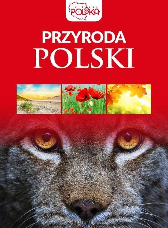 Przyroda Polski - stan outletowy