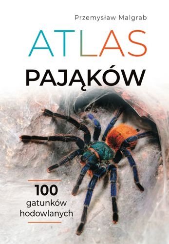 Atlas pająków, Przemysław Malgrab