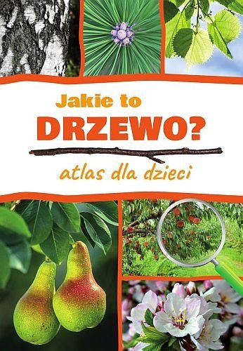 Jakie to drzewo? Atlas dla dzieci, Aleksandra Halarewicz