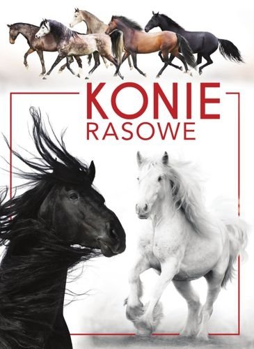 Konie rasowe, Patrycja Zarawska
