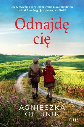 Odnajdę cię. Jak dzikie gęsi, tom 3, Agnieszka Olejnik