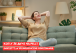 Kotły żeliwne na pellet - inwestycja w ekologiczne ogrzewanie