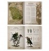 Wood Elf Realms - Arcane Journal