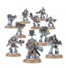 Space Wolves - Grey Hunters