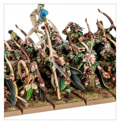 Wood Elf Realms - Battalion