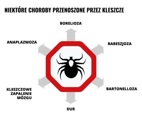 Mleczko repelent Mugga 20,5% DEET 50 ml