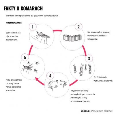 Mleczko repelent Mugga 20,5% DEET 50 ml