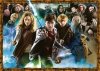 Puzzle 1000 Ravensburger 15171 Harry Potter - Znajomi z Hogwartu