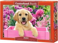 Puzzle 500 Castorland B-52226 Pies - Labrador Puzzle 500 Castorland B-52226 Pies - Labrador