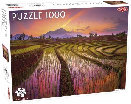 Puzzle 1000 Tactic 58249 Pola w Indonezji