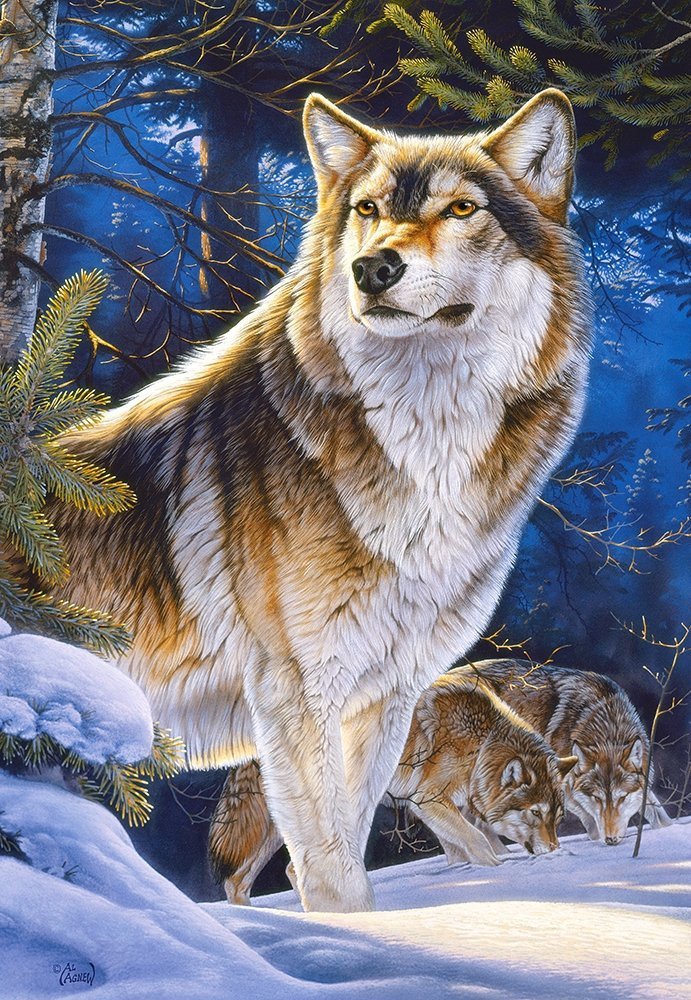 Puzzle 1000 Castorland 104062 Wilki