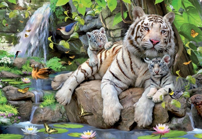 Puzzle 1000 Educa 14808 Tygrysy Bengalskie