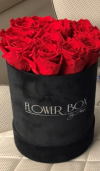  Czerwone żywe WIECZNE róże w średnim velvet czarnym boxie