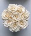 Kremowe żywe WIECZNE  róże w małym białym boxie XS