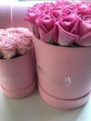 Różowe żywe ŚWIEŻE róże w średnim różowym boxie