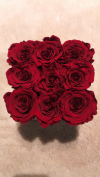  Czerwone żywe WIECZNE róże w kwadratowym kremowym velvet boxie