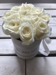 Białe żywe róże w małym białym boxie