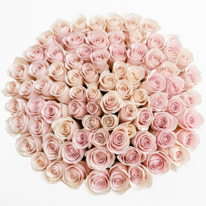  101 żywych róż w dużym boxie