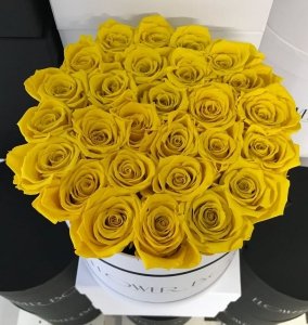 Żółte żywe WIECZNE róże w dużym białym boxie