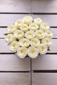 Białe żywe róże w średnim białym boxie 