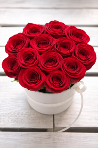 Czerwone żywe ŚWIEŻE róże w małym białym boxie