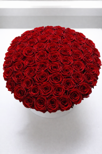 XL box- czerwone żywe róże w duży VELVET boxie