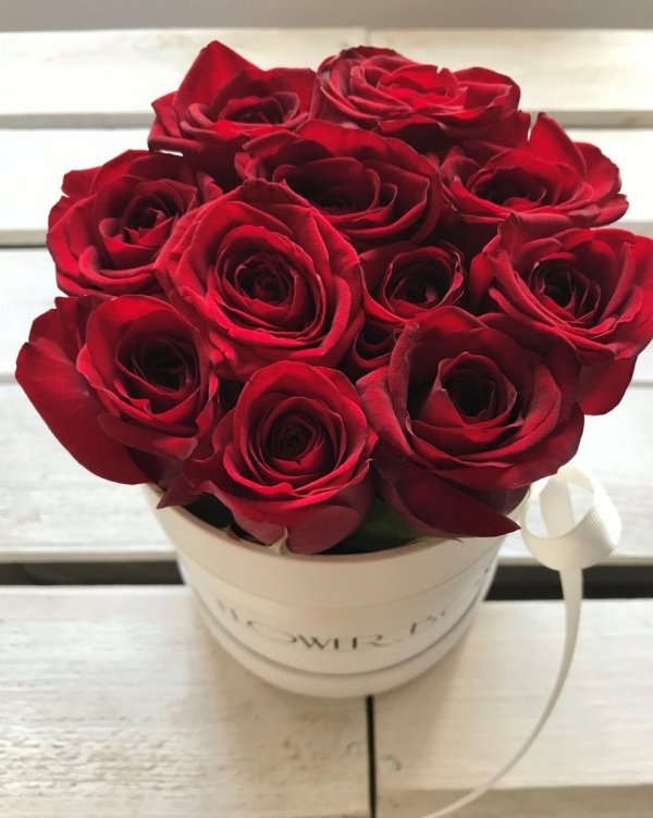 Czerwone żywe ŚWIEŻE róże w małym białym boxie