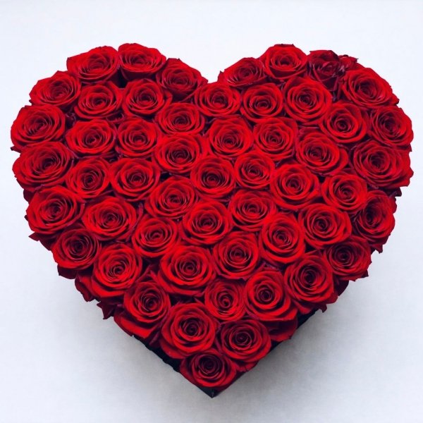  DUŻY XL Box serce + róże świeże, żywe.