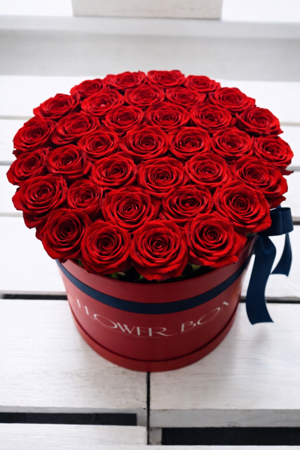 Czerwone żywe róże w dużym czerwonym boxie