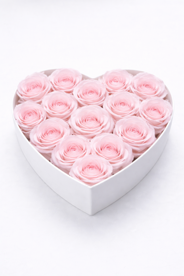 średni Box serce świeże, żywe róże