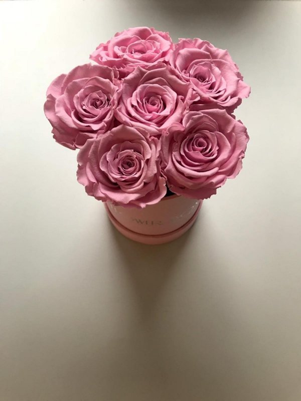 Różowe żywe WIECZNE róże w małym  różowym boxie XS