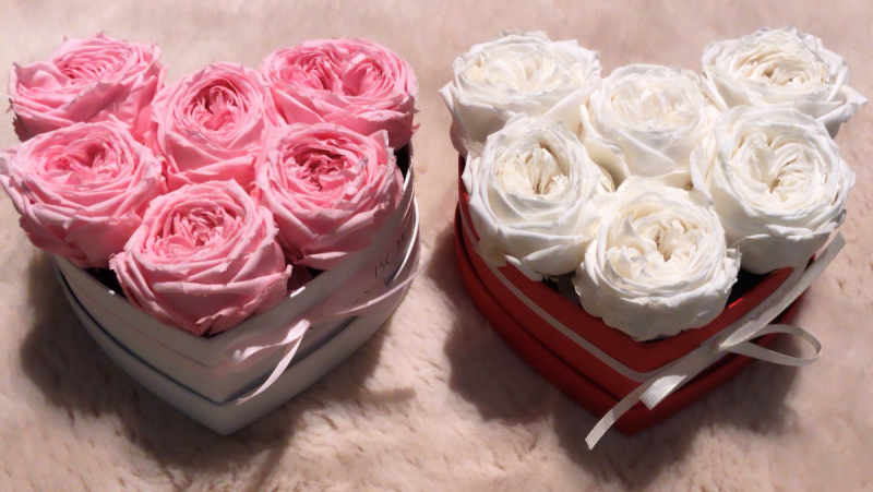 Nowość! Rózowe,angielskie, wieczne róze w mini boxe heart