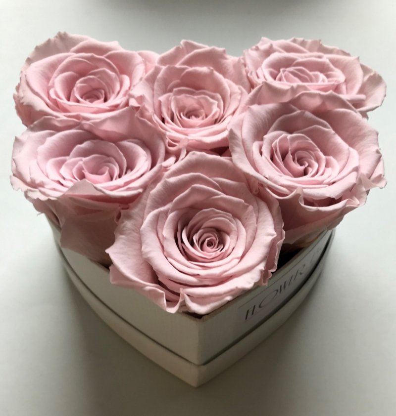 Pudrowo-rózo wieczne róze w mini boxe heart