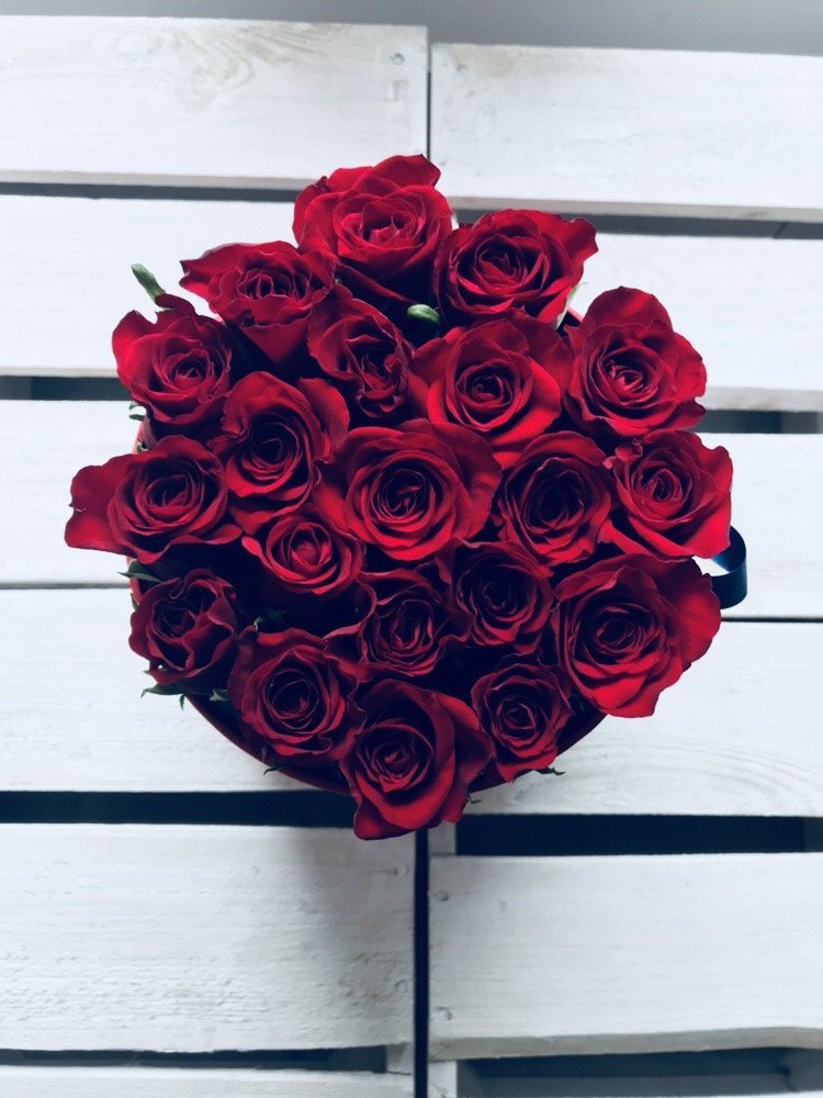 Czerwone żywe róże w średnim czerwonym boxie