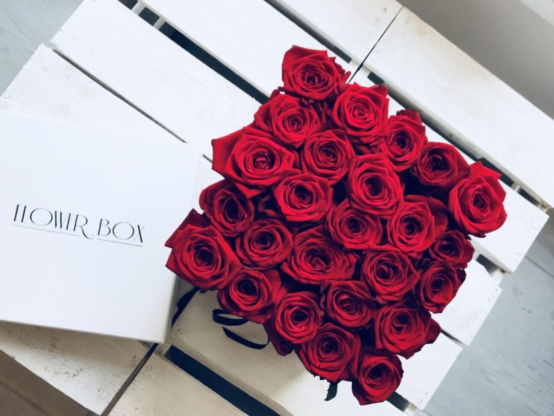 Czerwone żywe róże w kwadratowym białym boxie