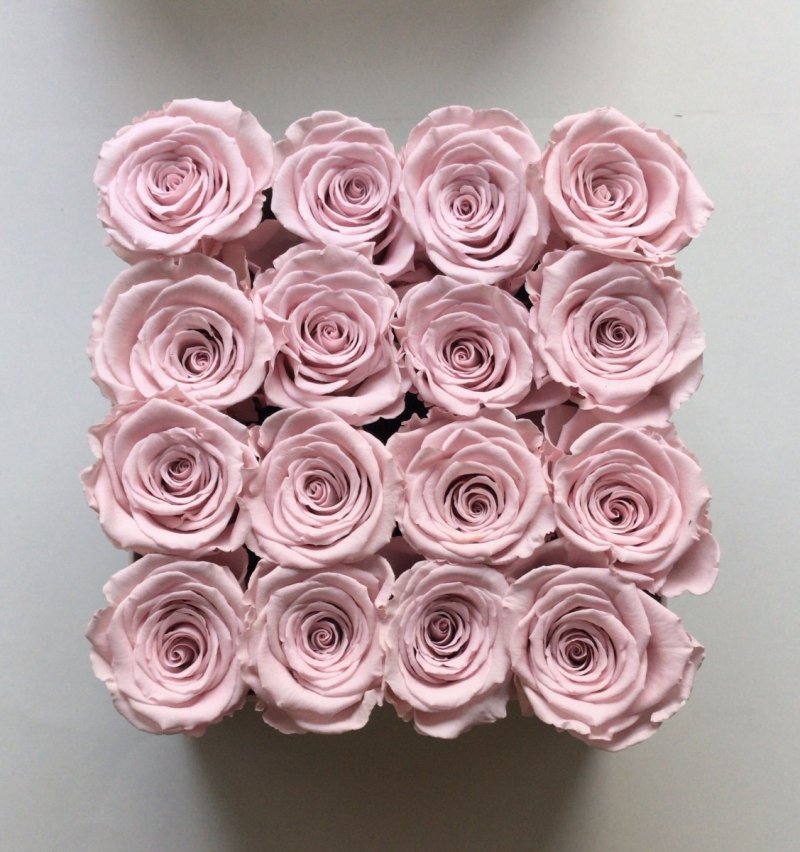 Pudrowe różowe żywe BRIDAL PINK WIECZNE róże w kwadratowym białym boxie