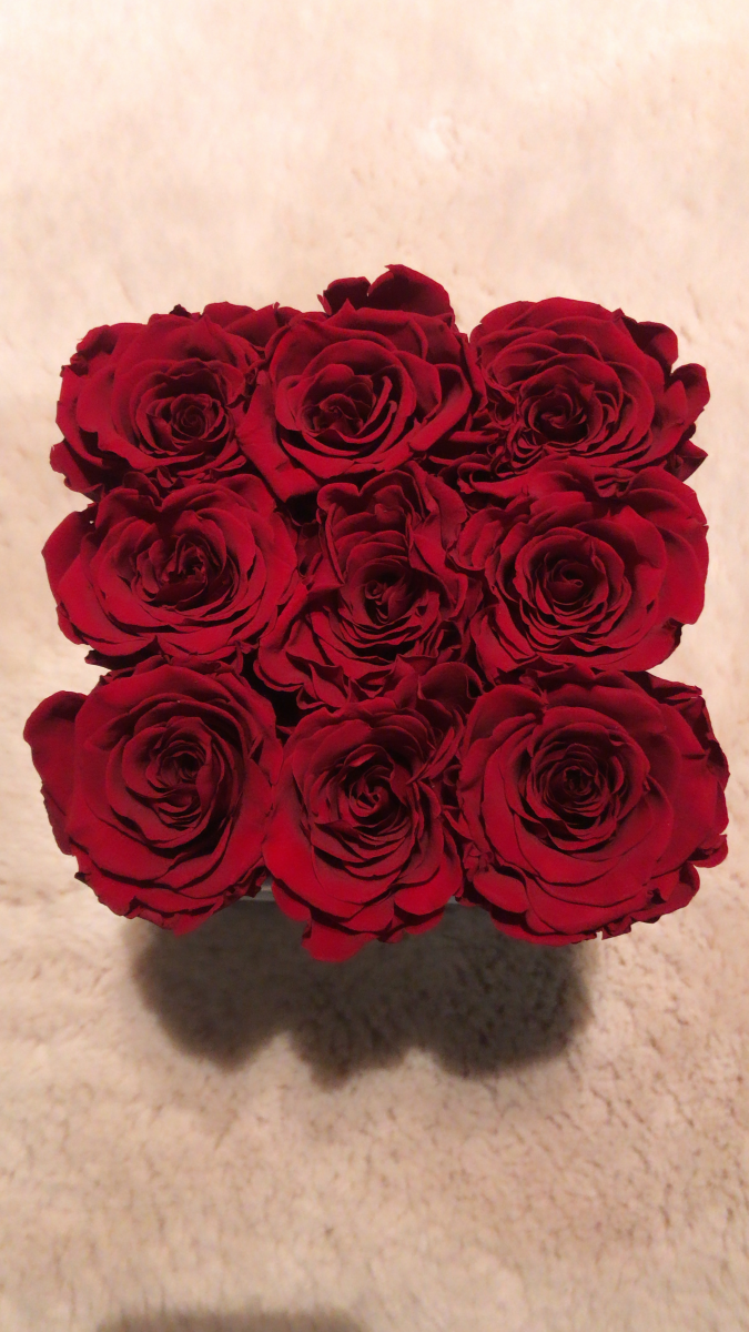  Czerwone żywe WIECZNE róże w kwadratowym kremowym velvet boxie