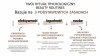 Scientist skoncentrowany szampon przeciw wypadaniu włosów 300 ml. SHAMPOING DENSITE 