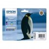 Tusz EPSON C13T55974010, CMYK, Epson Picture Mate