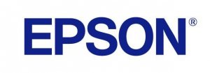 Części / EPSON / 512Mb Ram  