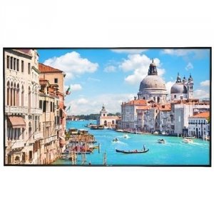 Monitor 42.5 cala DS-D5043UC