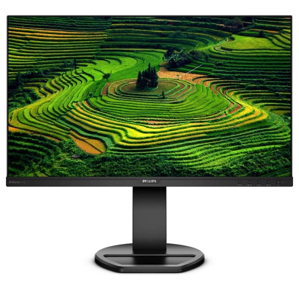 Monitor 23.8 241B8QJEB IPS DVI HDMI DP Pivot