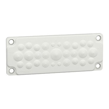 LVS08872