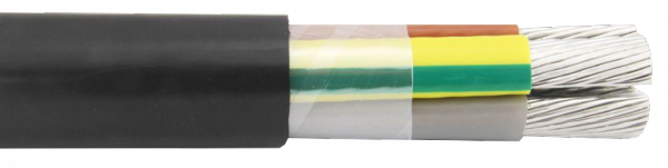 YAKXS 4 X 25