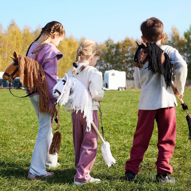 Tootiny Koń na kiju Hobby Horse HOPPIHORSE A3 Chestnut - brąz, maść kasztanowata