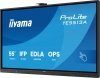 Monitor interaktywny iiyama TE6513A-B1AG 65 cali UHD IR 40 punktów dotykowych