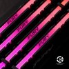 Kingston Pamięć DDR4 FURY Renegade RGB 8GB(1*8GB)/3600 CL16