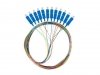 Lanberg Pigtail SM SC/UPC Semi Tight 9/125 G657A1 12X2M multikolor
