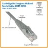 Eaton CT6,SNAG PCH CBL,2FT,BL N201-002-BL